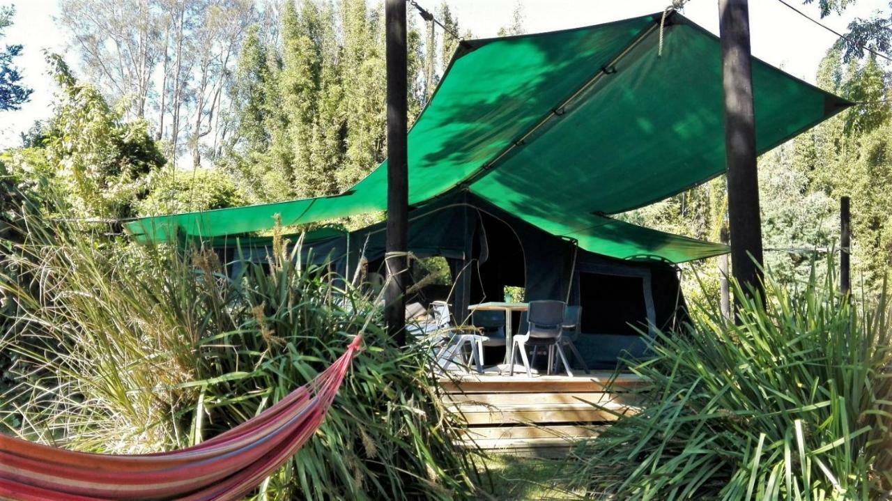 Pagoda Lodge Kerikeri Extérieur photo